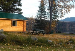 Sunflower Cabin (1)