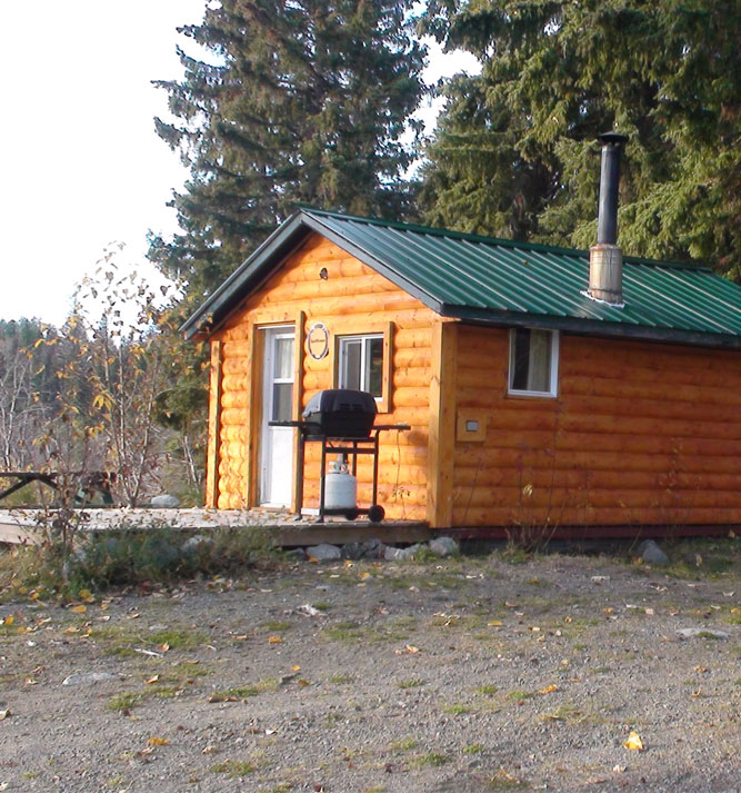 sunflowercabineagleisland